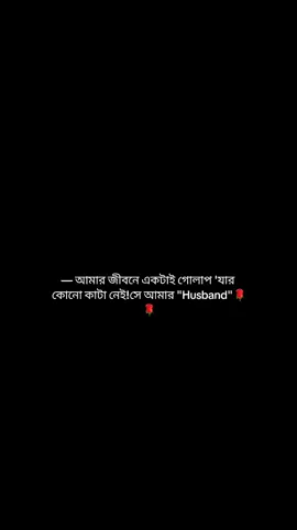 #foryoupage #bangladesh🇧🇩 #trending #প্রবাসীর_বউ✈️👰 