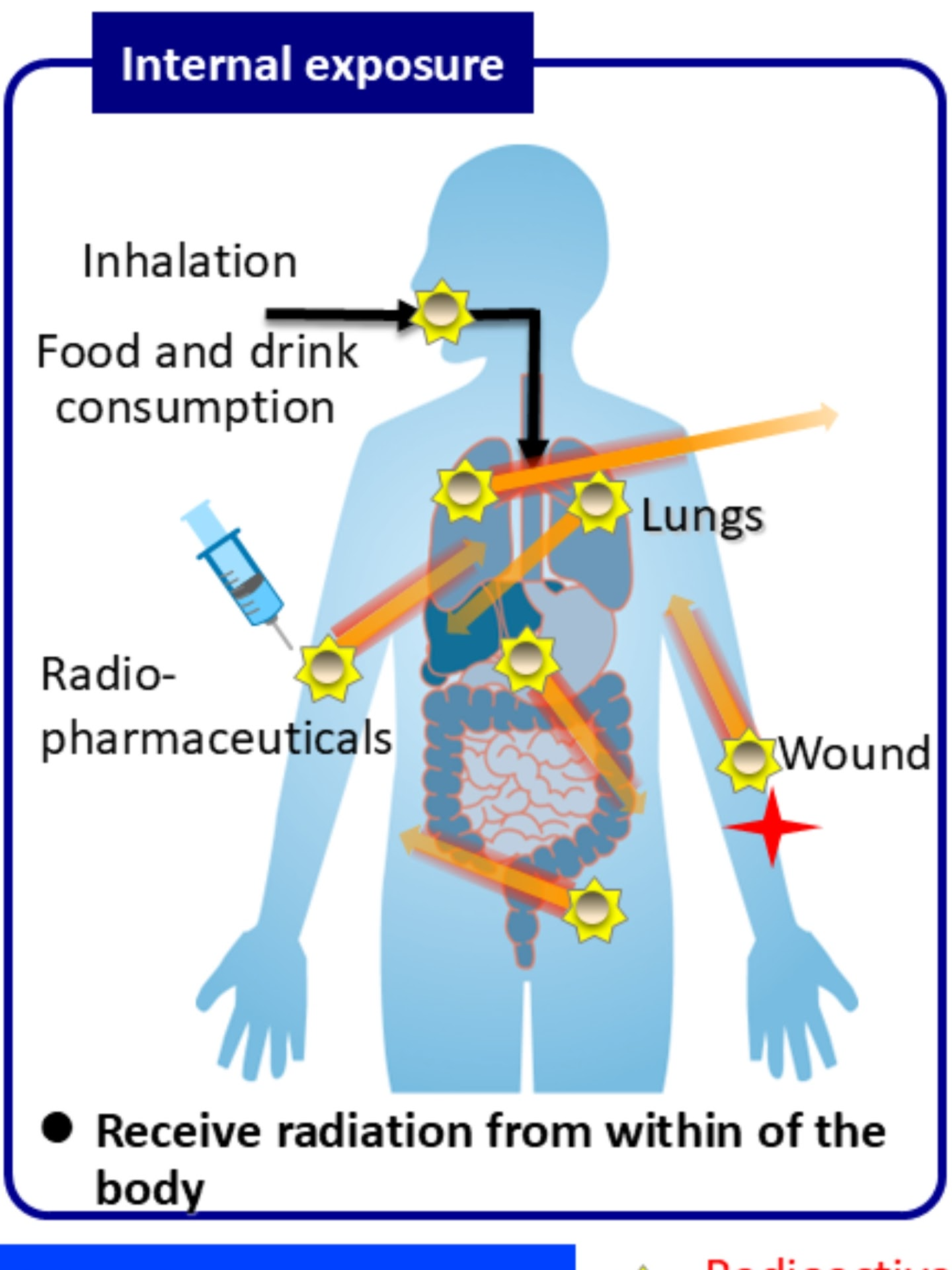 #RadTok #NuclearEducation #Dosimetry #InternalDosimetry #Radiation #Radioactive