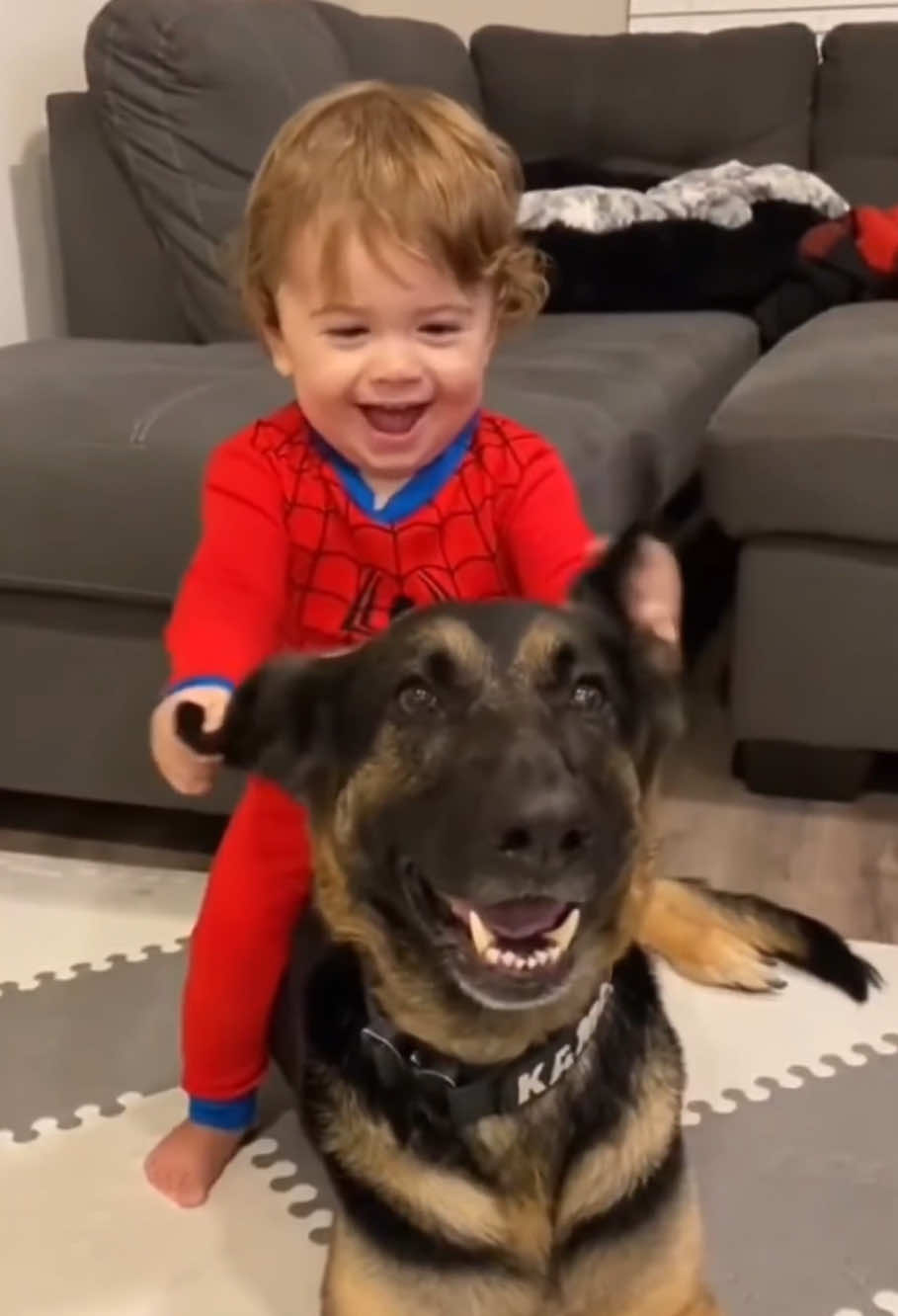 Best friends❤️#dog#baby#pet#Love#cute#best#bestfriend 