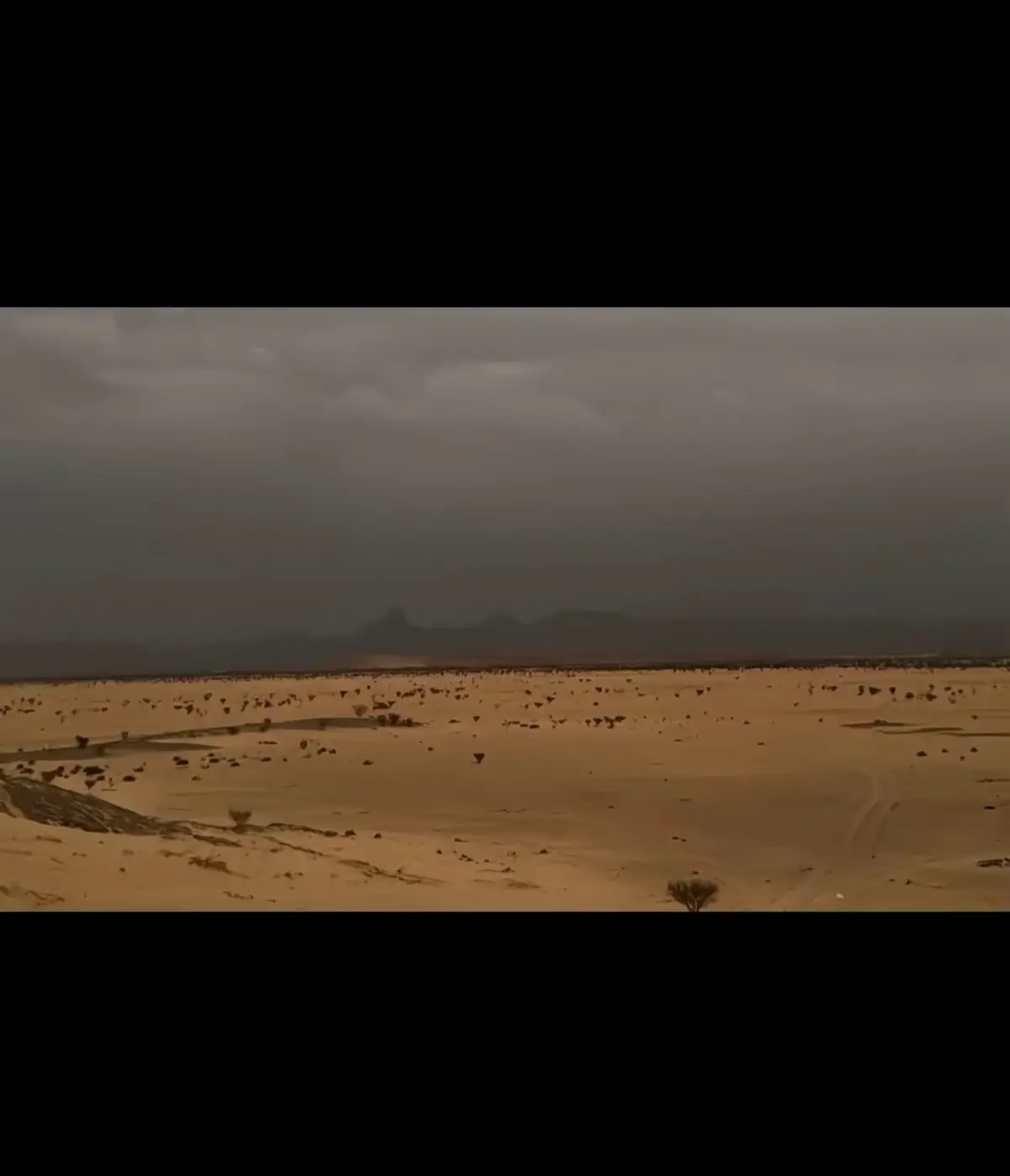 يا عبد الغني ربك اذا حب عبد اغناه  ‏ هداه وحماه من الذنوب وستر عيبه ‏ هني من يطيع الله تعالى ولا يعصاه  ‏ هو اكبر غني لوما معه قرش في جيبه  ‏ اما الي يلم المال ويموت مازكاه  ‏ جعله فدوت اللي يرخصه في مواجيبه  ‏وجدنا العرب كلن يغني على ليلاه  ‏وبه ناس في نعمه وبه ناص في مصبية 