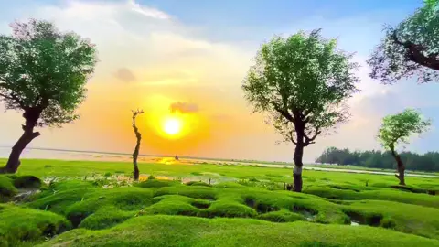 মন মাঝি খবরদার। 🎶🖤👌#Dc_Point_Taltali #foryou #Nstnoyon #Bangladesh 