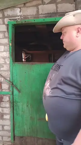 @Cільський Двір @Сільський Двір Онлайн #ведіка #едік #єдік #вЕдікавгостях# #свиня #кабан 