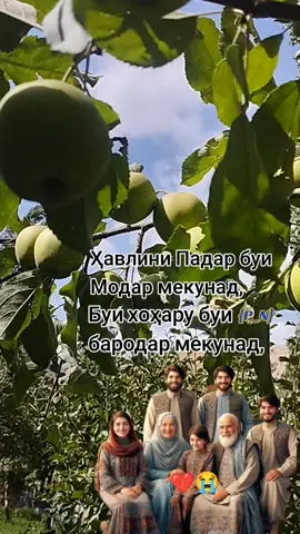 Ҳавлини Падар бӯи Модар мекунад бӯи Хоҳару бӯи бародар мекунад😭😭 #💔💔 