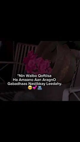 Nin Walba io Qoftiisa.                                                                                                                                                                                                                                                                  .                                                                                                                                                                                                                                                                                                                                                                                          .                                                                                                                                                                                                                                                                                                                                                                                                                                                                         #foryou #fypシ #viral #Lander 