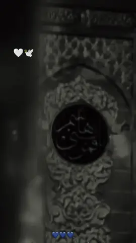 #ياعباس_ياحسين #يازينب_يامولاتي #سلام_الله_عليكم_يا_اهل_البيت 
