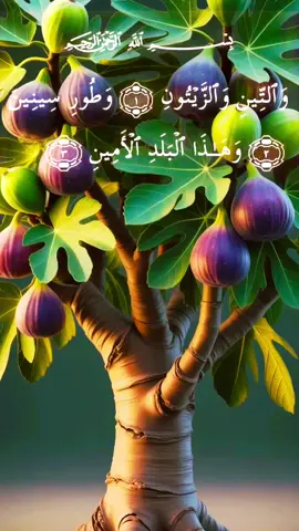 #عبدالباسط_عبدالصمد #صدقة_جارية #قران #تلاوات #quran #100k #videoviral 