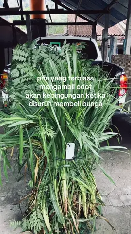fresh ramban mawon ngeh😊#peternak#dombalokaltemanggung #freshflowers💐 