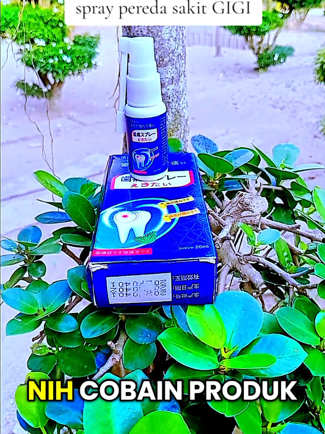 spray obat sakit gigi ampuh#obatgigi #fyp 