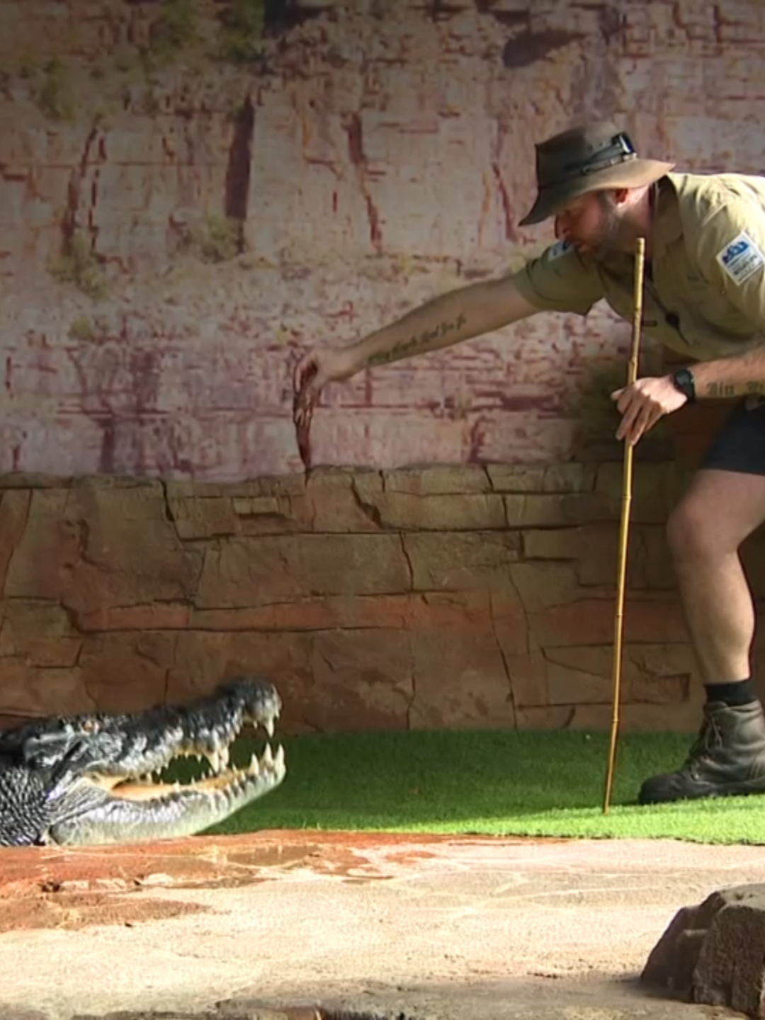 A croc-wrangling, Wiggles cast member, Elvis impersonator – It is a unique mix, but the trio of talents is about to take a Victorian man across the world to show off his blue suede shoes. #7NEWS at 6pm | Stream on @7plus