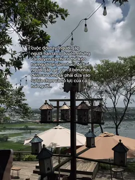 Phần 203 | #tinhyeu #tamtrang #_thluan11 #306 #chuyentinhyeu_306 #story #fbtxuhuong 