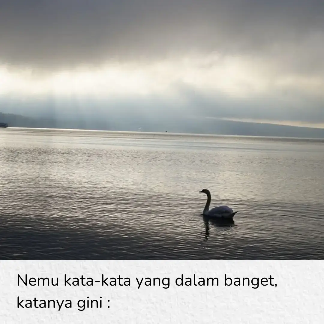#fyp #beranda #katakata #qoutes #kontenromantis 