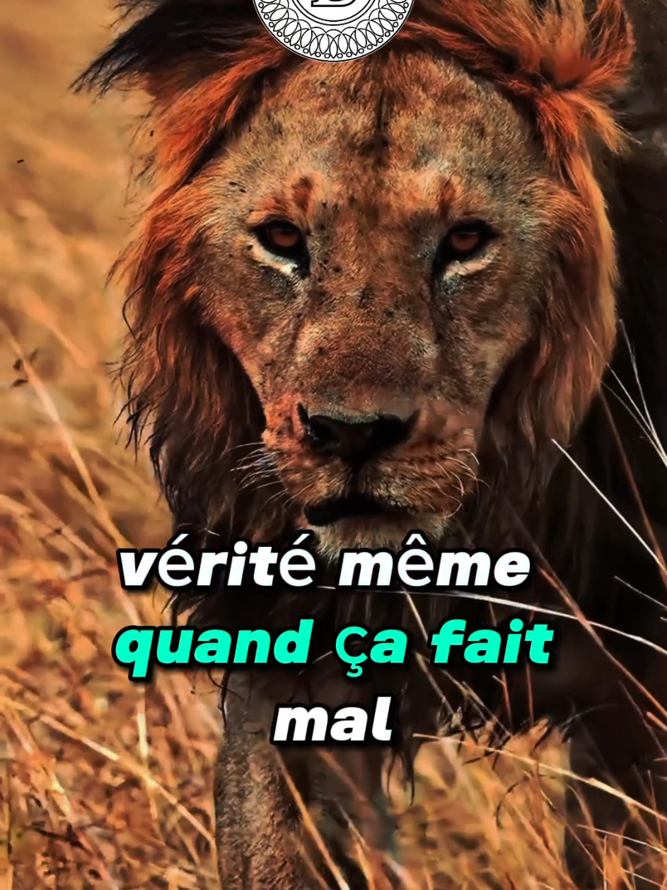 Tu dois absolument avoir ces trois types de personnes 👌  #france🇫🇷 #mental #citation #motivation 