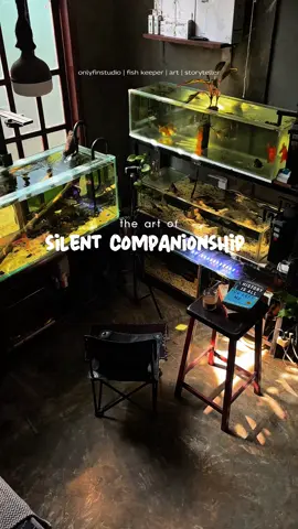 Balik , capek,  langsung duduk depan aquarium langsung ilang capeknya 😊 #aquarium, #cinematography, #videography, #aesthetic, #cinematic