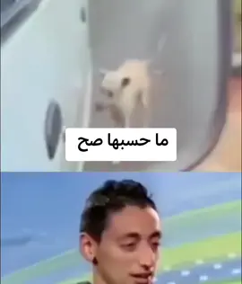 #كلاب #مواقف_غير_متوقعه #ضحك_وناسة #مقالب_مضحكه #الشعب_الصيني_ماله_حل😂😂 