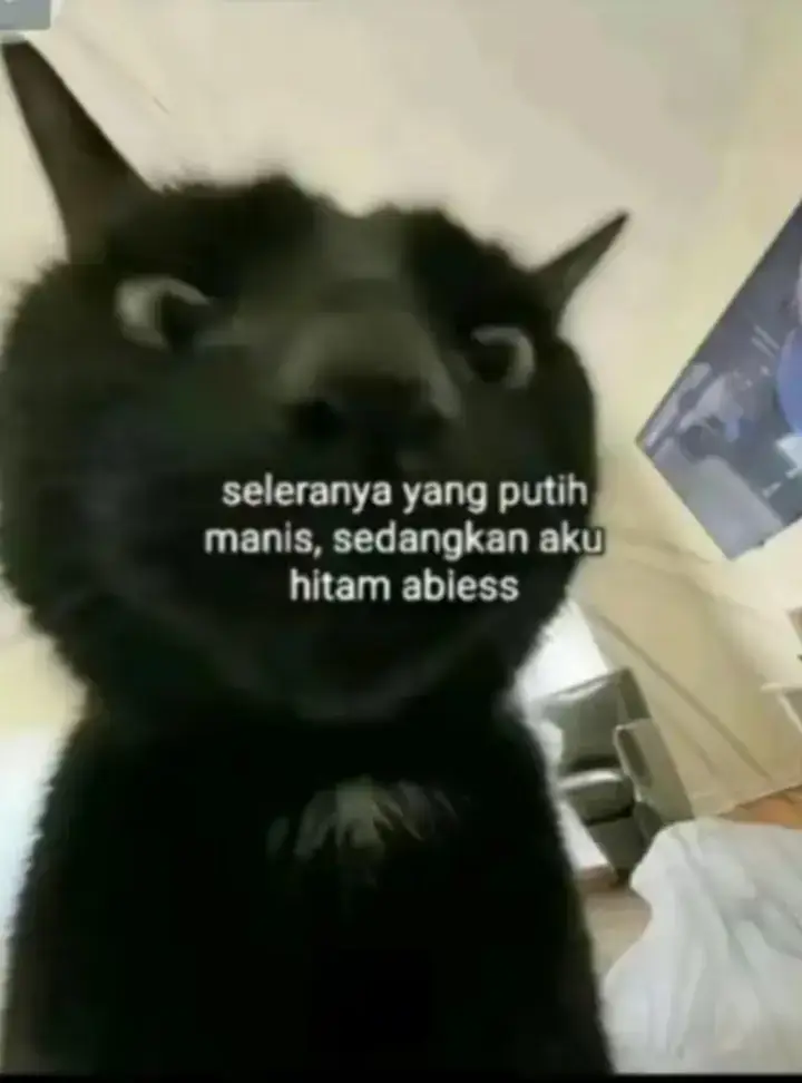 #fyppppppppppppppppppppppp 