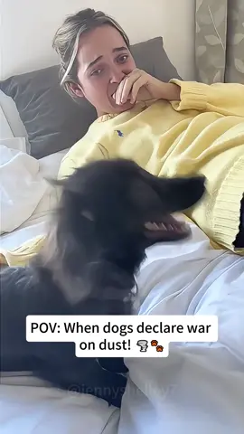 Sneezpocalypse Now:When dogs declare war on dust!🌪️🐾#sneezewave#dogsoftiktok #funnyvideos #funnydog#dogcomedy #dogtok #doglover #usa #usapets #fyp