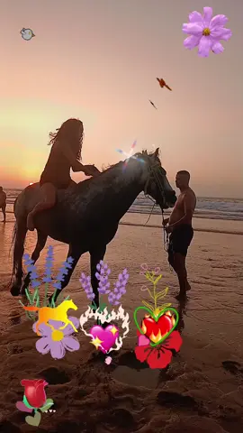 inch'Allah magnifique cheval🥹🫶🏽🥰#amour❤️‍🔥 #pourtoi♥️💚♥️ 