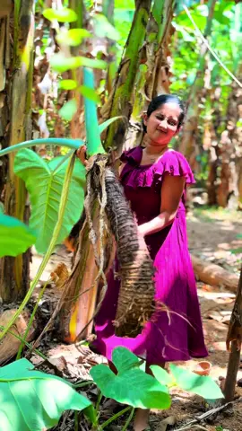 Taro Root Curry ❣️| ගමේ රහට කිරි අල කරිය 😍 #viral #tiktok #trending #foryou #fypp 