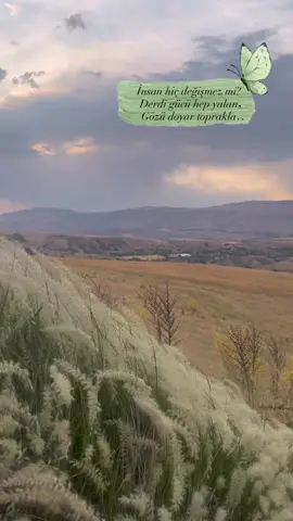 Gözü doyar toprakla…🌾 #keşfet #manzaravideolari #adıyaman #karakuştümülüsü #maypereset #yokbanabucihandabiryer 