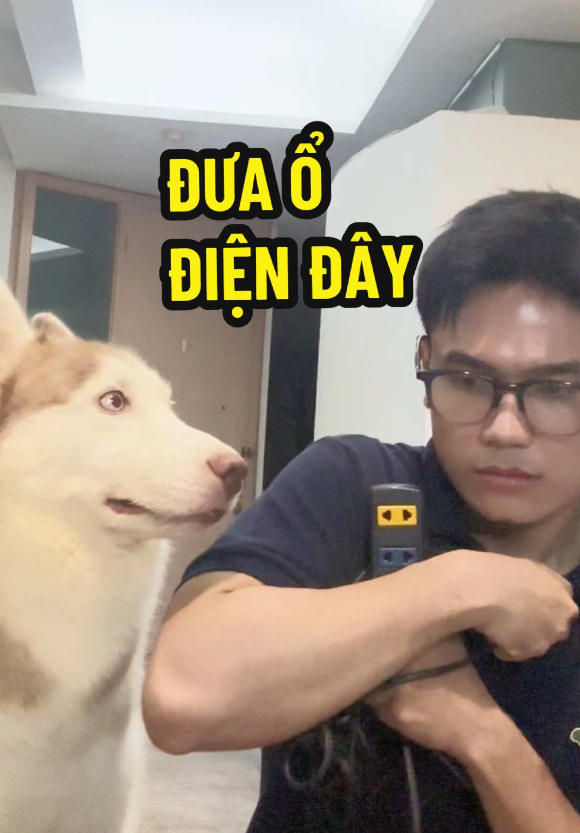 Trả lời @Jade 💚 được cái nhà ai cũng lắm mồm #butin #dogsoftiktok 