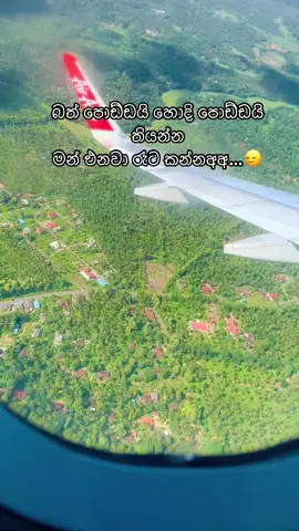 ආයෙත් ලංකාවට එද්දි මං 😌 #visitsrilanka #srilankan_tik_tok🇱🇰 #australia🇦🇺 #foryou #foryoupage #fyp