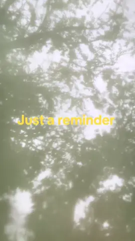 ✨🤍✨ 