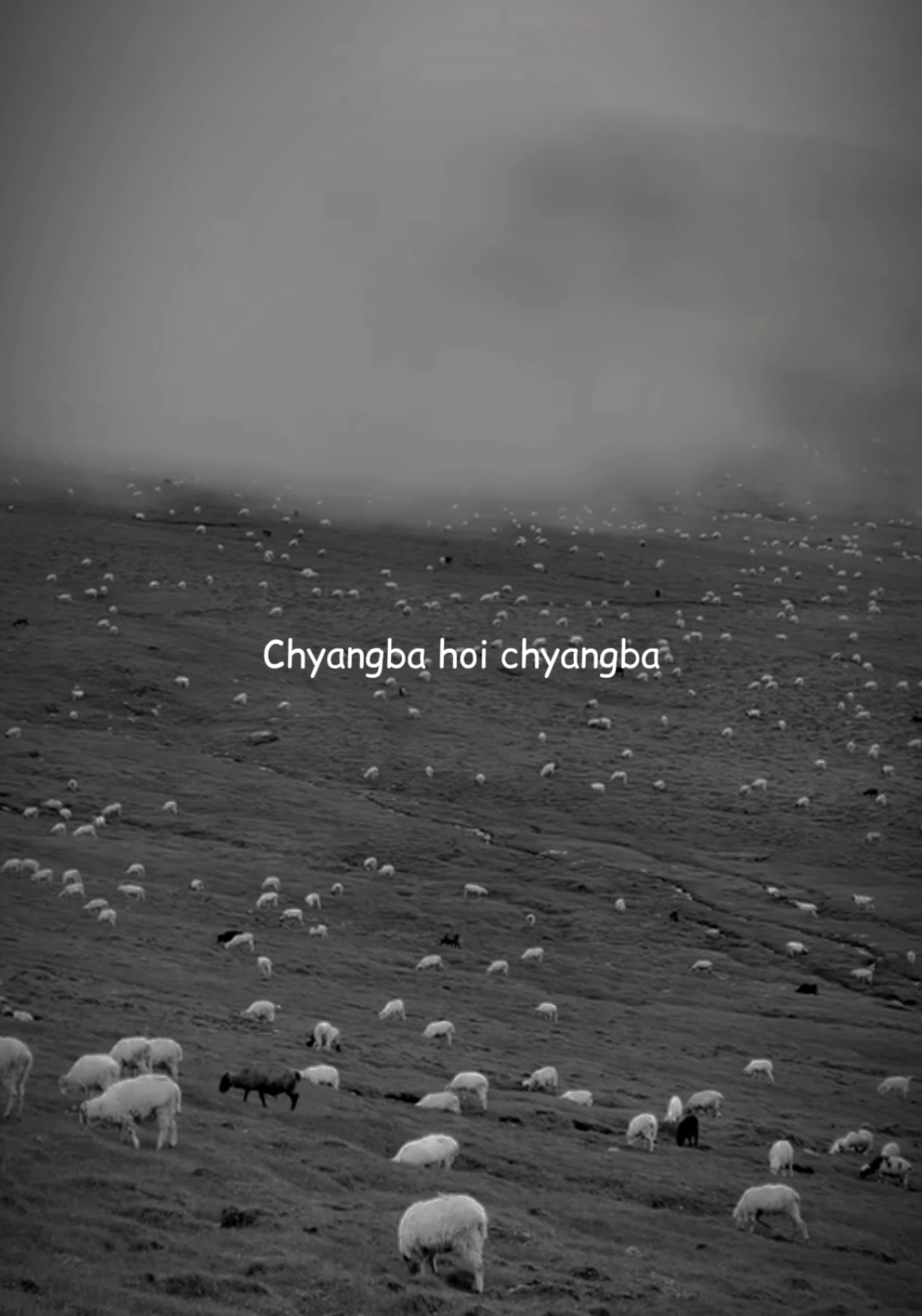 #creatorsearchinsights  Part:64 | CHYANGBA HOI CHYANGBA | 💗💐 . Just share into your story❣️ . Follow me for more daily videos:@lyrical_vibes_30 . Song:Chyangba hoi chyangba💖 Singer:@grg_mausami @ dj_raju @ kranti_ale Headphone Recommend🖤🎧 . #follow#like#explore#trending#new#instgramreels#facebookreels#nepalisonglover#grg_mausami#CHYANGAB#djraju#kranti_ale#hoi#suna#damphu#jam#maichang#2010song#memories#mon#part:64#lyrical_vibes_30 