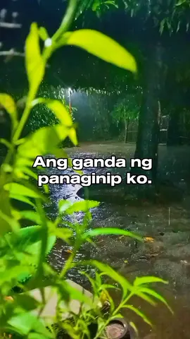 #funnyvideos #🤣🤣🤣 #🤭🤭🤭 #🤭🤭🤭🤭 