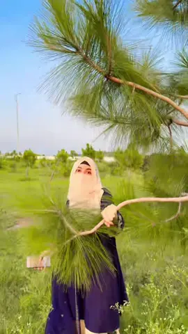Mujy tumri khanyn bhot pasand h 😍🥰#mashallah #foryoupage❤️❤️ #foryoupage❤️❤️ #mashallah😍😍😍😍 #hajabihaseena #mashallah😍😍😍😍 #foryoupage❤️❤️ 