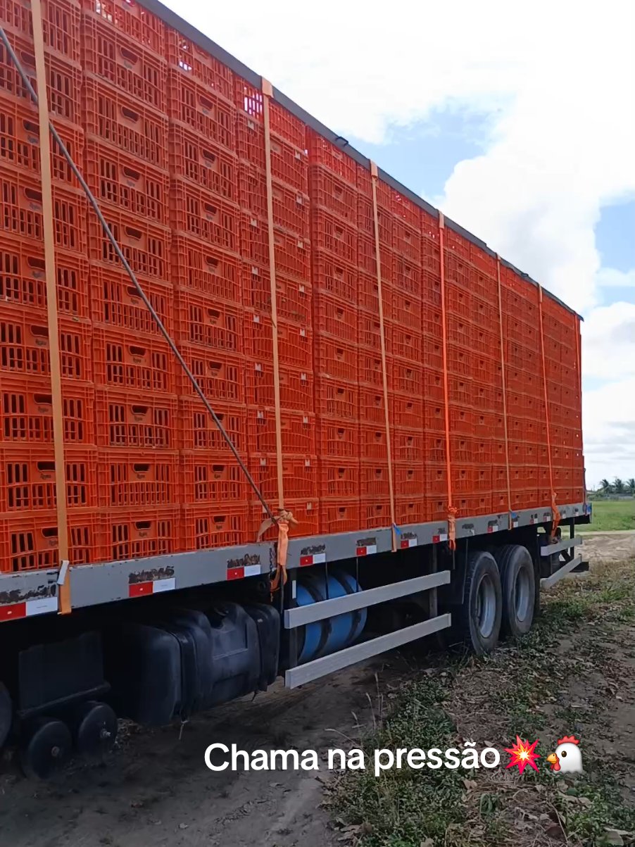 Galera da regina🚚🐔😎#galeradofrango #GALERADOFRANGO 