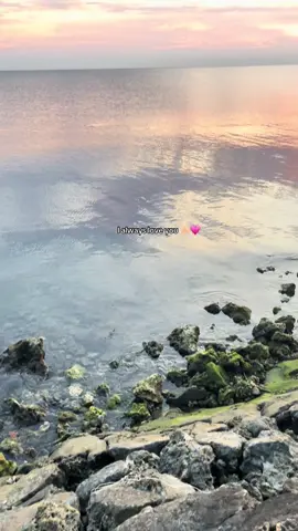 #fyppppppppppppppppppppppp #viraltiktok #more 