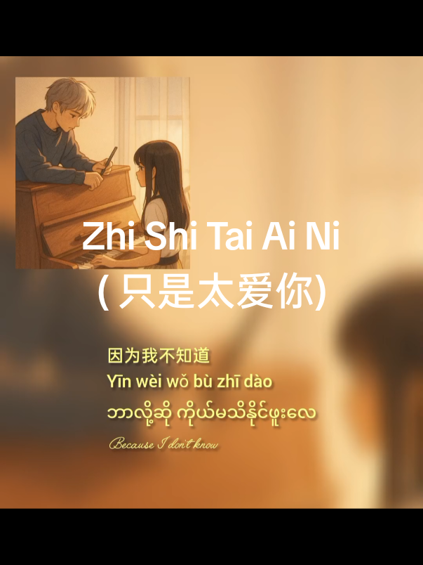 Zhi Shi Tai Ai Ni (只是太爱你) #chinesesong #lyrics #songlyrics #music #mmsub #တရုတ်သီချင်း 