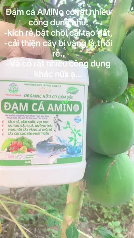 Bà con nên mua dùng dòng đạm cá AMiNo,vì nó rất tốt cho cây trồng của mình ạ...