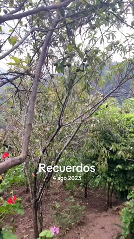 #recuerdos 