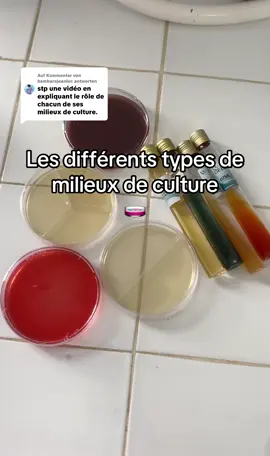 Antwort auf @bambarajeanluc #milieudeculture #gelose #bacterie #infection #الشعب_الصيني_ماله_حل😂😂 