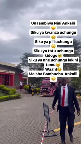 #fypシ #muturaisafruit #fypシ゚viral #trendingvideo #kenyansinqatar🇶🇦🇶🇦🇰🇪🇰🇪 #fypシ゚ #fyppppppppppppppppppppppppppppppppppp #makemefamous #foryoupage #goviral 