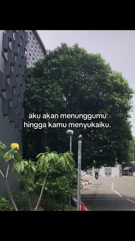 #galaubrutal 