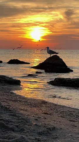 #ludmilayakovchishina #recommendations #sea #рек #глобальныерекомендации #sunrisemusic #sunrise #explore #fyppppppppppppppppppppppp #viraltiktok 