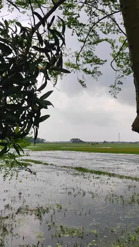 মেঘলা দিন🌧️ #foryou #foryoupageofficiall #bdtiktokofficial #weather #nature #fypシ゚ #place #PlacesToVisit #viralvideo #tiktokviralvideo #bangladesh #beauty #trendingsong #videoviral #views #bdtiktok #sky #natural 