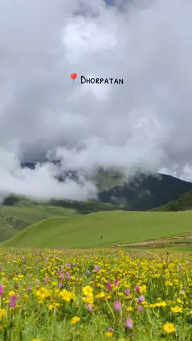 Dhorpatan region in the west Nepal. Rich in nature and culture, this is your next destination to visit in Nepal. This is one of the best monsoon destination in Nepal. 🇳🇵 #fyp #dhorpatan #nepal  #trekking 