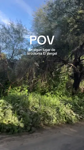 Fue mi primera vez por acá 👁️👄👁️ #sanluispotosi #potosinos #pov #sanluispotosi🌵🇲🇽 #sanluis #slp 