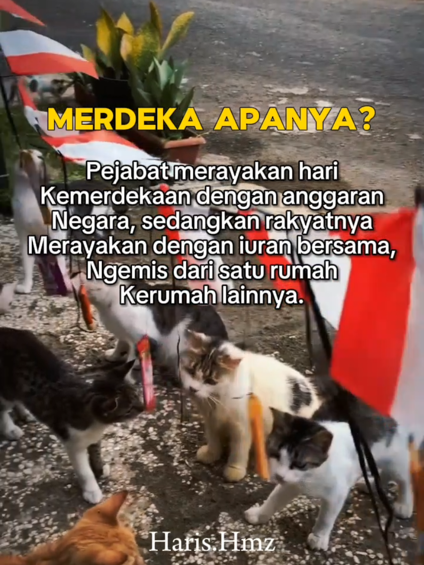 Benarkah kita sudah merdeka? #fypシ゚  #fypシ゚viral #fyppppppppppppppppppppppp #fyp #indonesia #fypage 