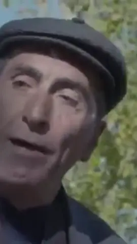 #CapCut 