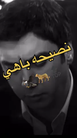 ولا توقف ضدي نصيحه باهيه ✋😉#fypシ゚ #langr #🦅🐆 #foryo #fypp #تصميم_فيديوهات🎶🎤🎬 #وادي_الذئاب 