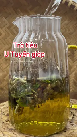 Bình trà tiêu u tuyến giáp #quynhhuong #thaoduocdantoc #learnontik #trending 