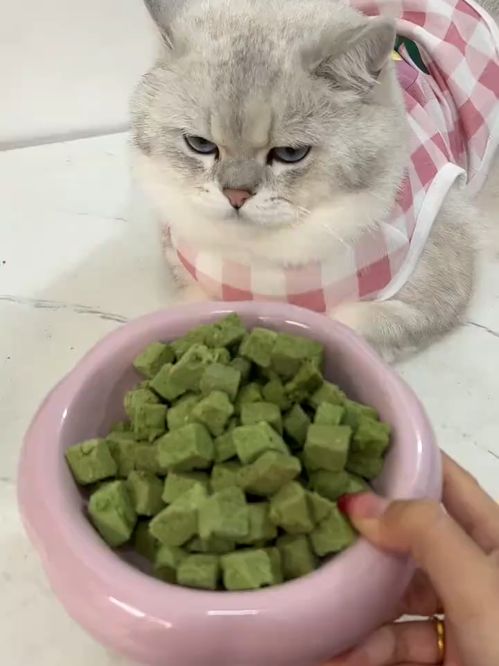 不爱吃猫草的猫咪，没有时间种猫草的铲屎官，可以试试这款冻干猫草粒 #猫草 #猫草粒 #萌宠好物#记录