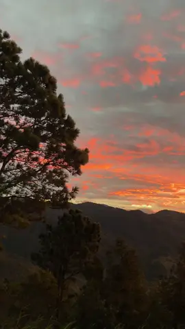 Qué terapéuticos son los amaneceres en mi aldea  #fyp #rancho #amanecerbonito #jutiapaguatemala🇬🇹❤️✌️ #paratiiiiiiiiiiiiiiiiiiiiiiiiiiiiiii 