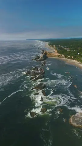 Seal Rock, Oregon #pacificnorthwest #oregoncoast #pacificcoast #pacificocean #oregonbeach #CapCut 
