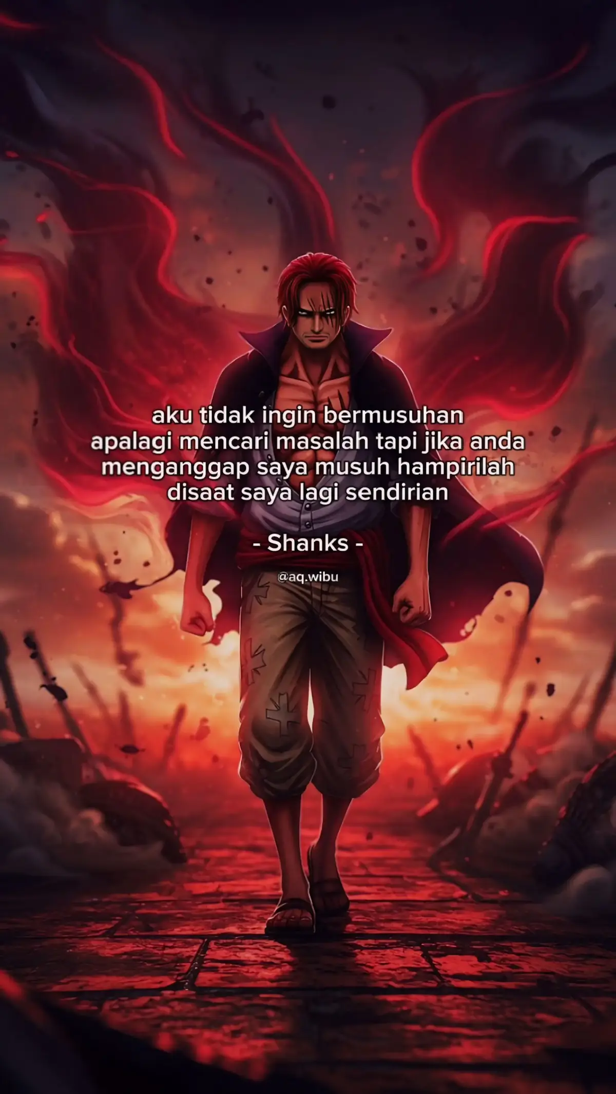 datangilah saat saya sendirian dan pastikan banyak orang yang kau bawa untuk melawanku #shanks #akagaminoshanks #onepiece #fyp 