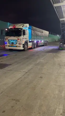 Đủ bo rồi lên núi thôi,,kiếm lúa cho đại ca mua TH7 về nhà 668 nào@cuongquoc668 